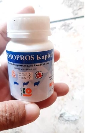 VERMOPROS KAPLET POT @ 50 KAPLET
