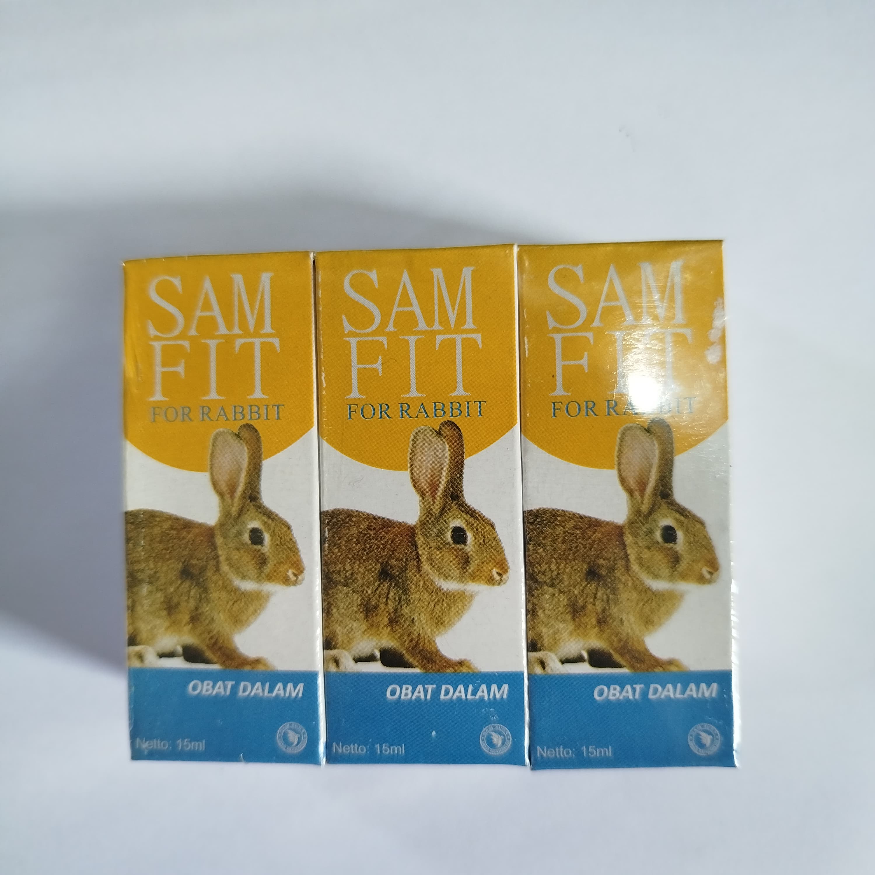 SAM FIT KELINCI DALAM