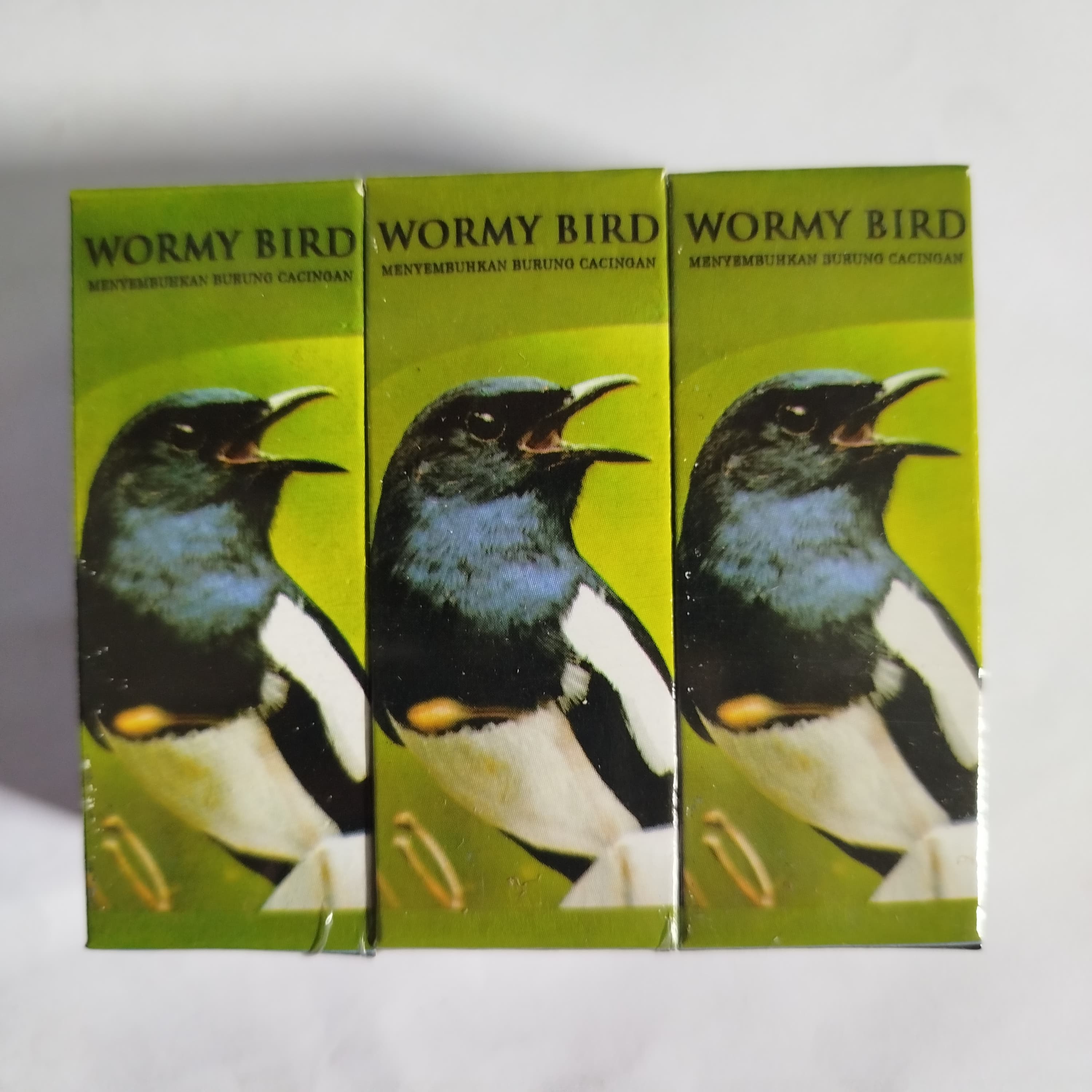 WORMY BIRD
