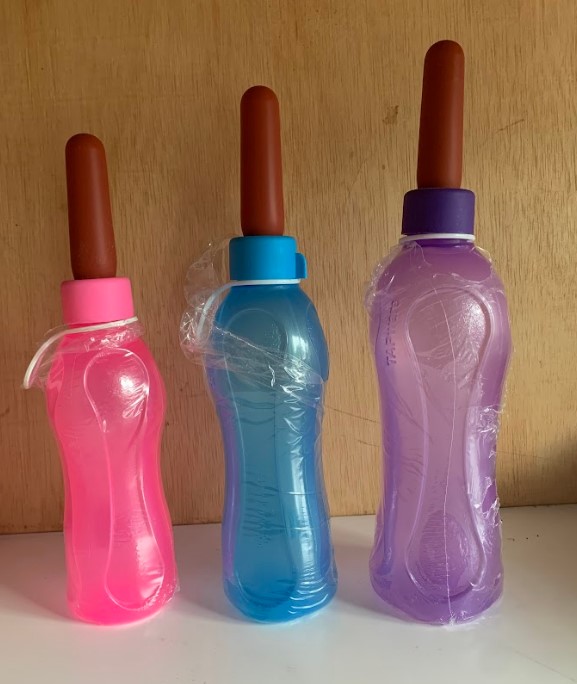 750ML BOTOL DOT SAPI MERAH 