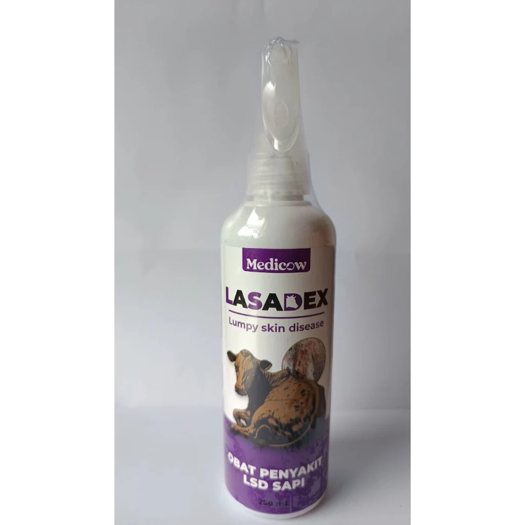 LASADEX