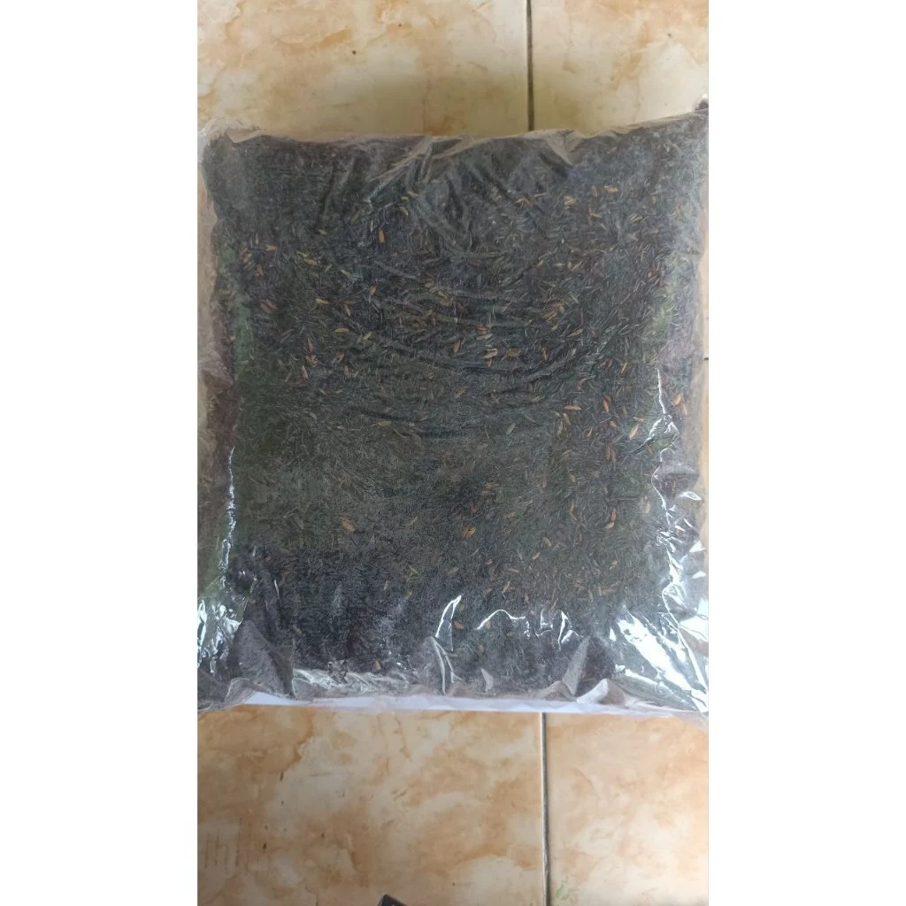 SEKAM BAKAR