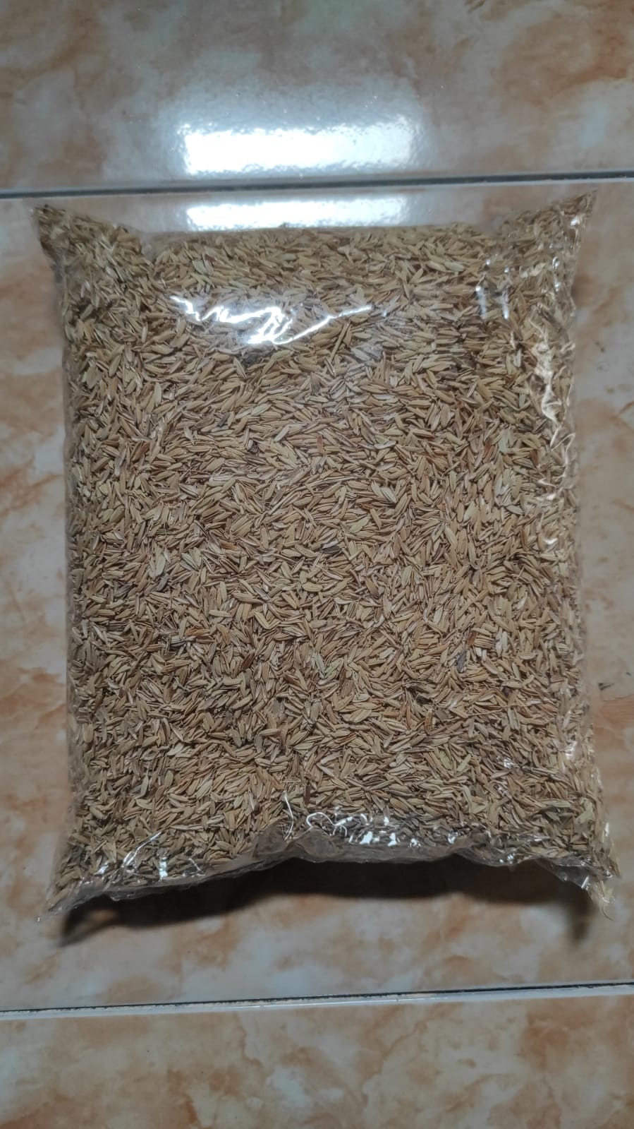 SEKAM MENTAH