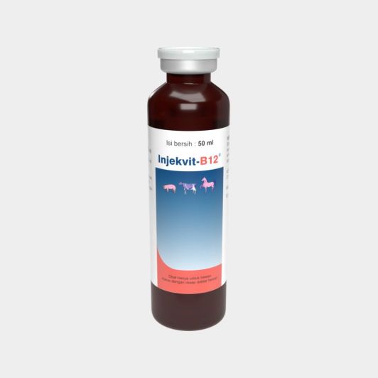INJEKVIT B12 50 ML 